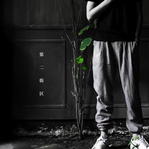 插进大码美女逼里射精
